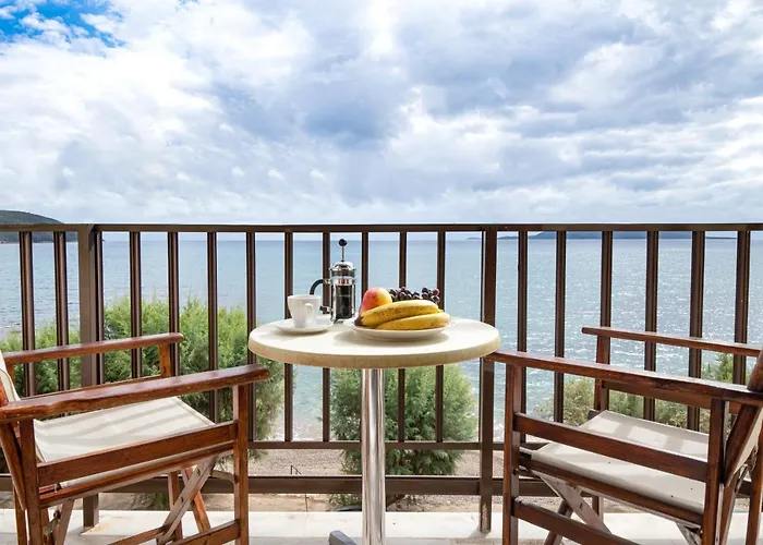 Korakakis * Finikounta